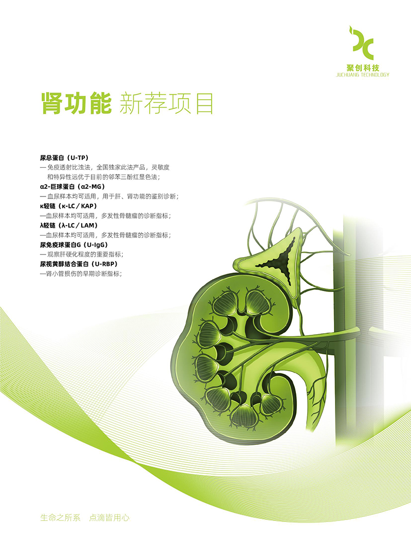 腎功能 推薦項(xiàng)目