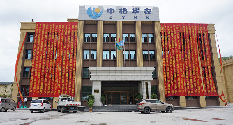 糖代謝、糖尿病監(jiān)測(cè)